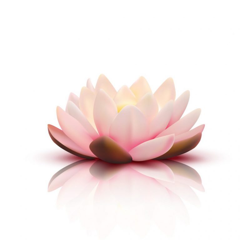 Liberstress Sophrologie, votre sophrologue à Craponne (69290)